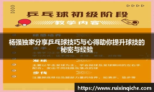 杨强独家分享乒乓球技巧与心得助你提升球技的秘密与经验
