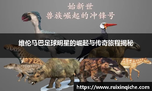 维伦马巴足球明星的崛起与传奇旅程揭秘